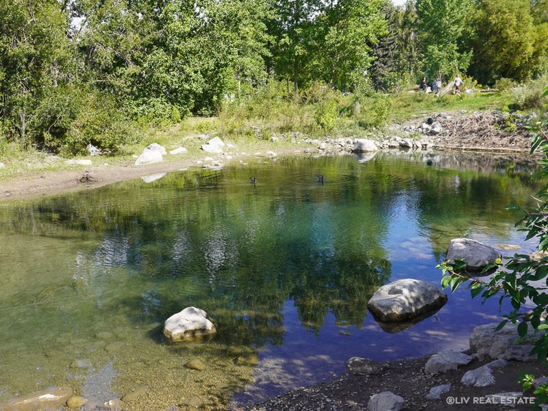 Sunnyside Homes for Sale in Calgary’s City Centre Liv Real Estate